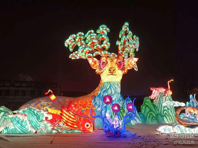 沈阳部落邀您一起拍花灯