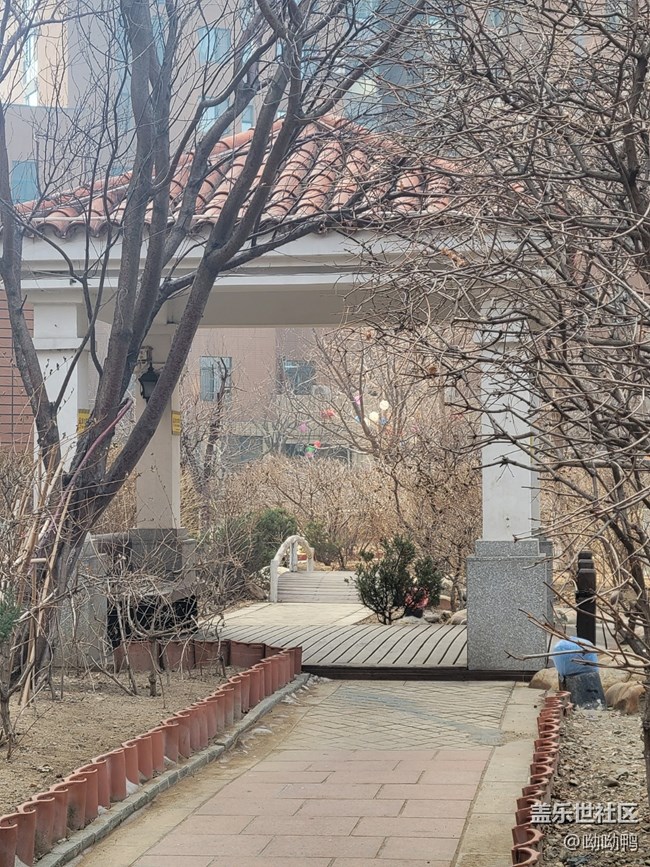 【故乡之思】我家小区
