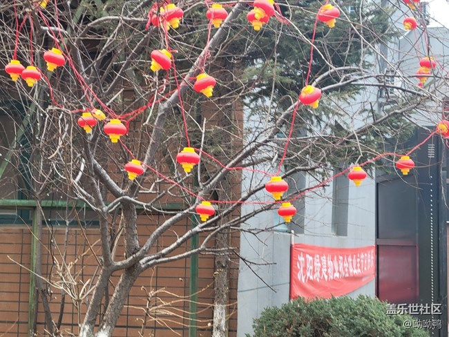 【故乡之思】我家小区