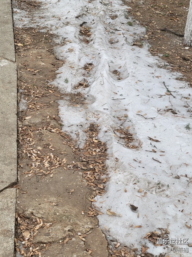 故乡之思+白雪