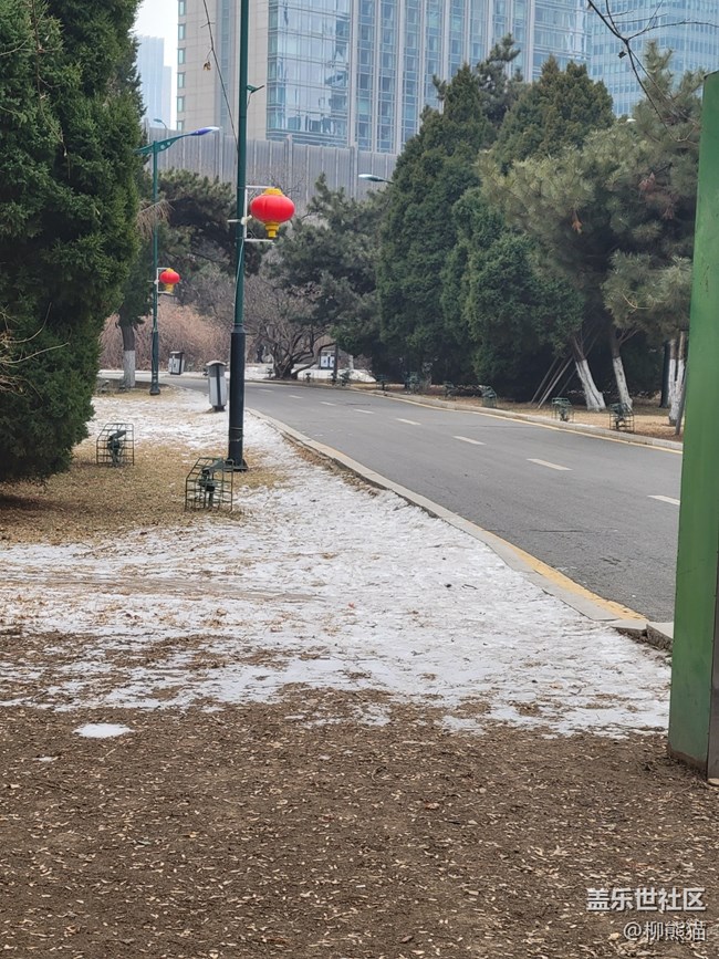 故乡之思+白雪