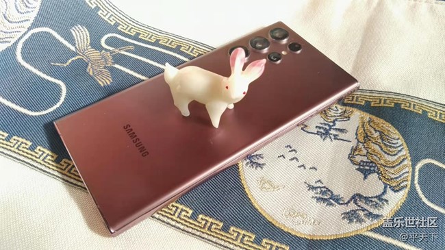 【兔年寻兔】无兔不在