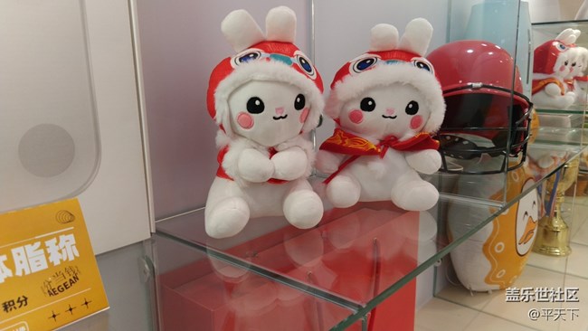 【玉兔呈祥】橱窗里的兔子
