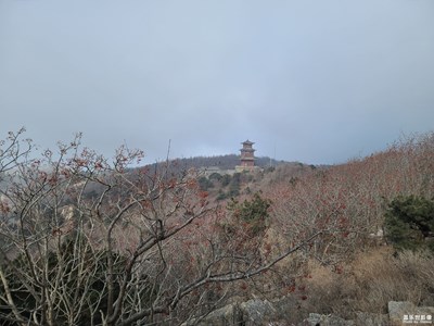 【闹元宵】+ 登泰山-2