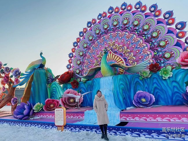 【我在盛京拍花灯】团团圆圆，岁岁年年