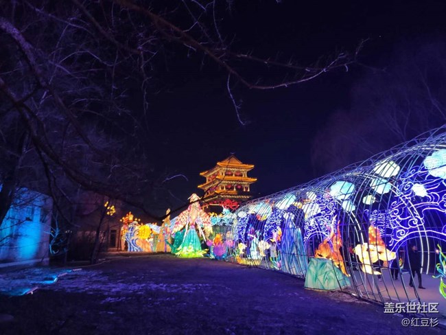 我在盛京拍花灯+很快乐的夜晚