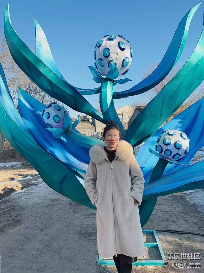 【我在盛京拍花灯】团团圆圆，岁岁年年