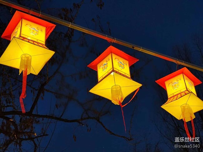【我在盛京拍花灯】一个字“绝”