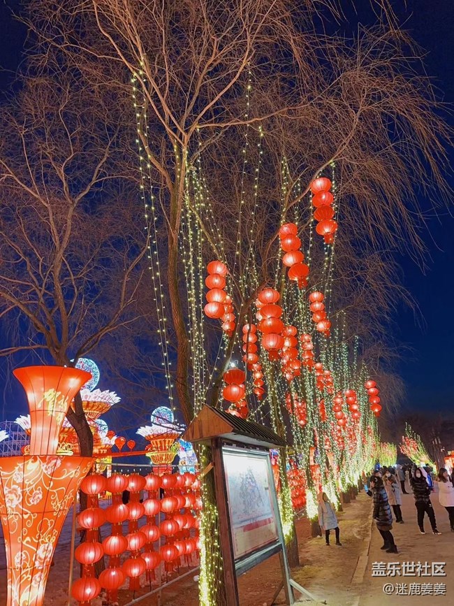 【我在盛京拍花灯】团团圆圆，岁岁年年