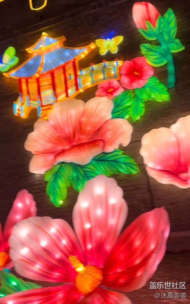 【我在盛京拍花灯】团团圆圆，岁岁年年