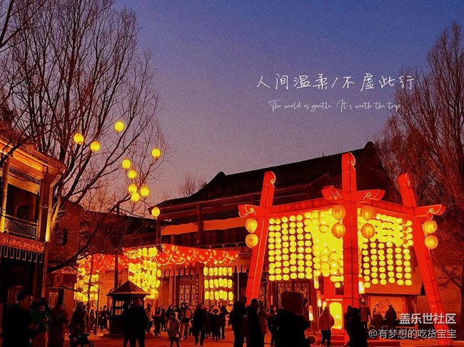 [我在盛京拍花灯]月与花灯互映明