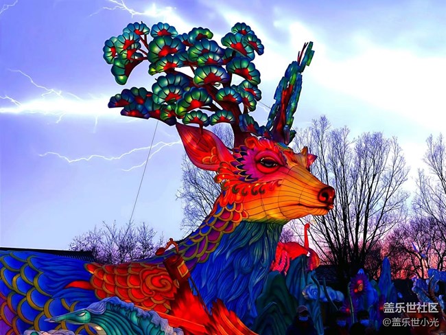 【我在盛京拍花灯】光影盛宴，美轮美奂