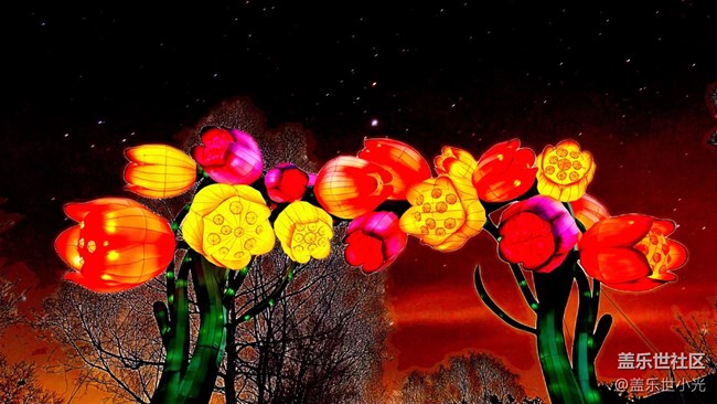 【我在盛京拍花灯】光影盛宴，美轮美奂