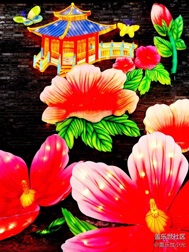 【我在盛京拍花灯】光影盛宴，美轮美奂