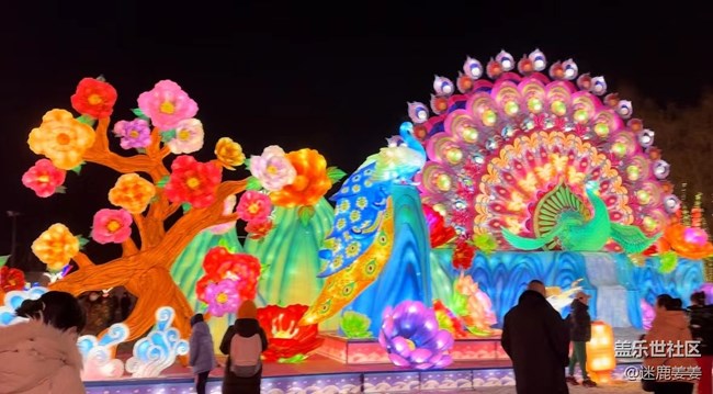 【元宵节盛京灯会】和三星伙伴一起欢欢喜喜逛灯会