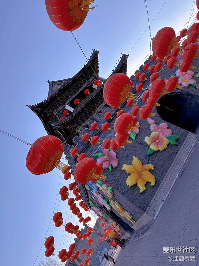 【我在盛京拍花灯】团团圆圆，岁岁年年