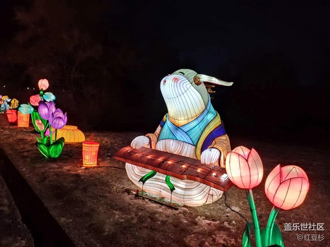 我在盛京拍花灯+很快乐的夜晚