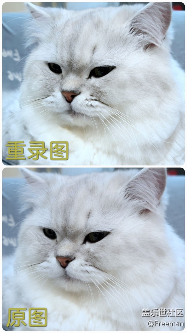 【玩机技巧分享】相册入门功能集锦①