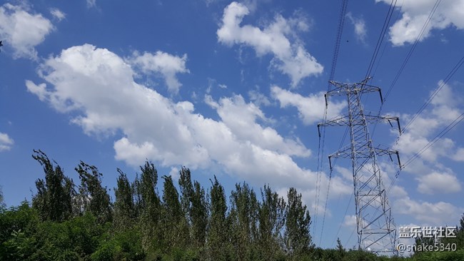 【仰望天空】—— 分外惬意