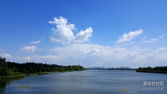 【仰望天空】—— 分外惬意