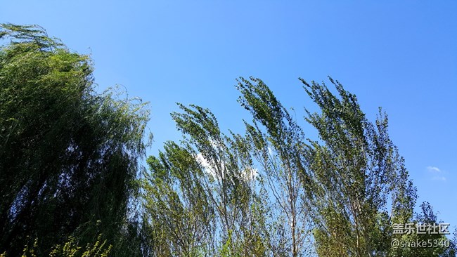 【仰望天空】—— 分外惬意