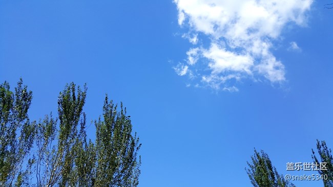 【仰望天空】—— 分外惬意