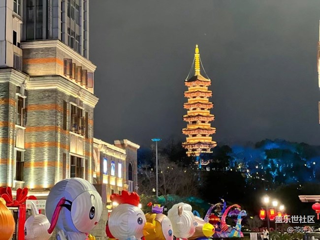 【你好】单身生活