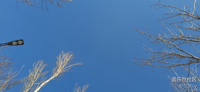 【仰望天空】雪后晴空