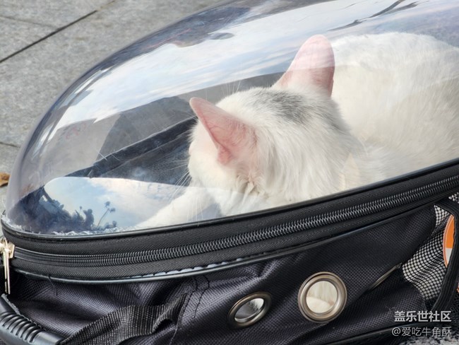 【生活边角料】