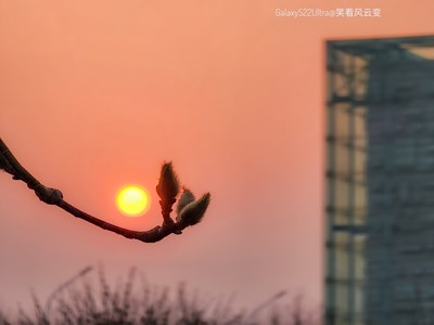 已开奖【盖乐世影像周赛第280期】—— 清浅时光