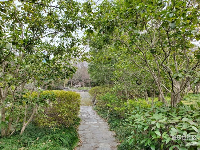 #你好，二月——逛公园