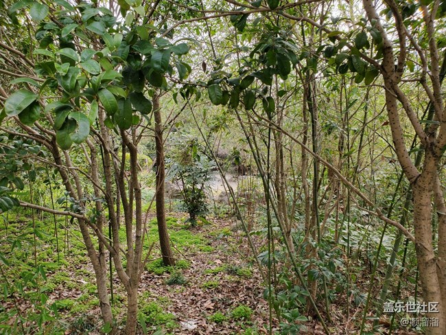 #你好，二月——逛公园