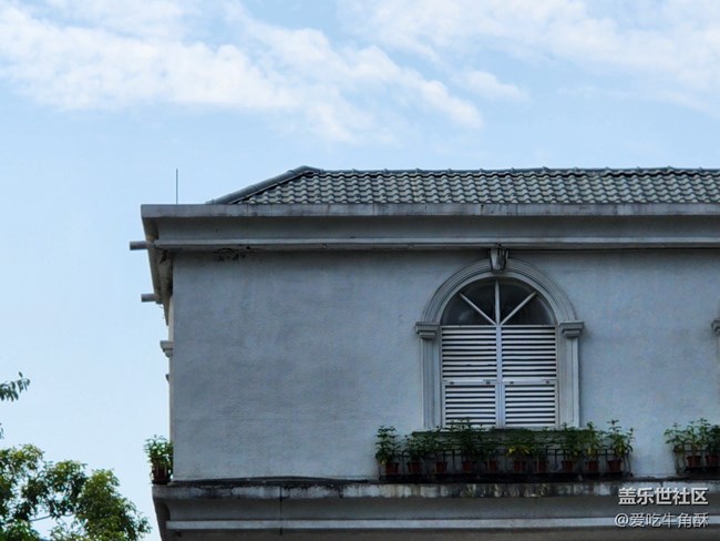 【仰望天空】周末出游随拍