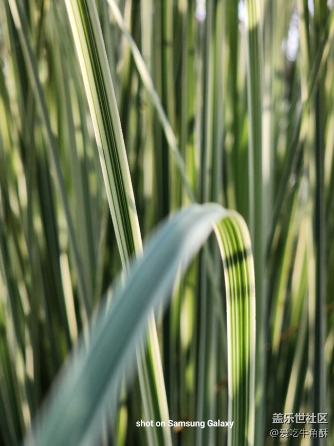 【春日浪漫】万物可爱