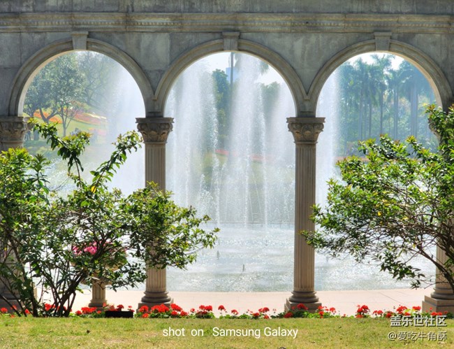 【春日浪漫】万物可爱