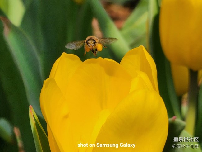 【春日浪漫】万物可爱