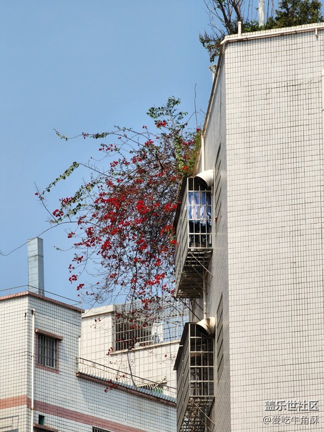 【仰望天空】日常随拍