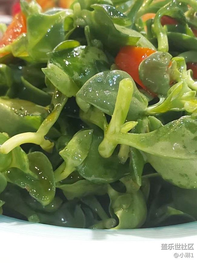 【春的希望】一年之计在于春