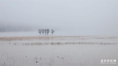 【网红打卡地】+ 打卡云南曲靖会泽念湖看黑颈鹤班头雁