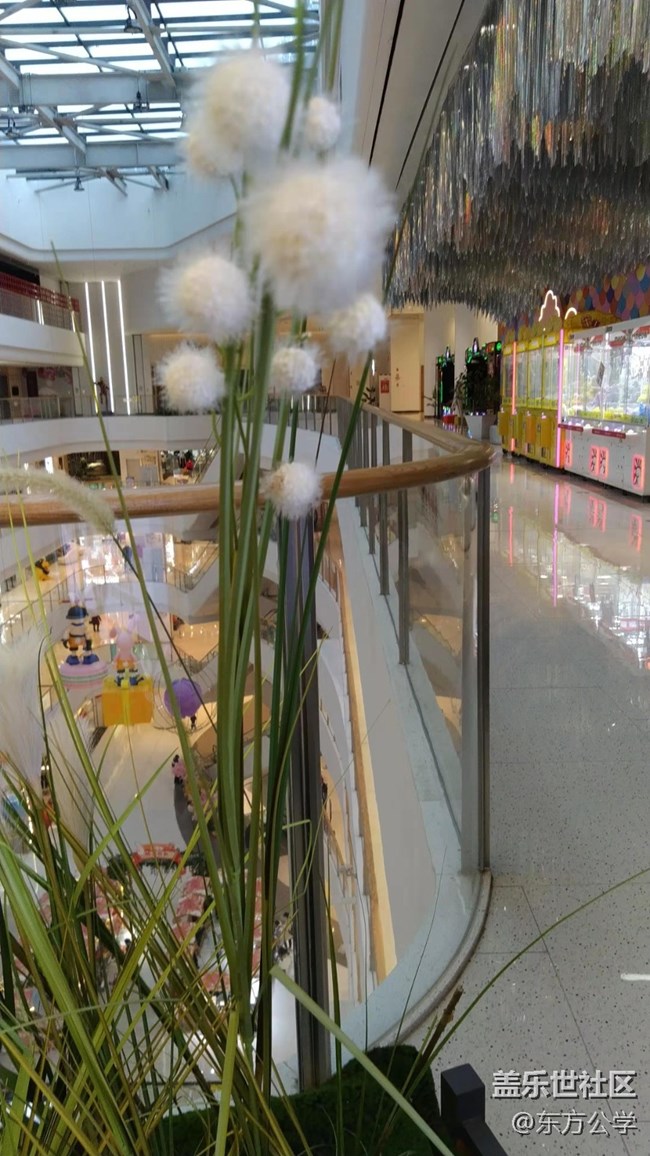 【采集青色时光】空中花园