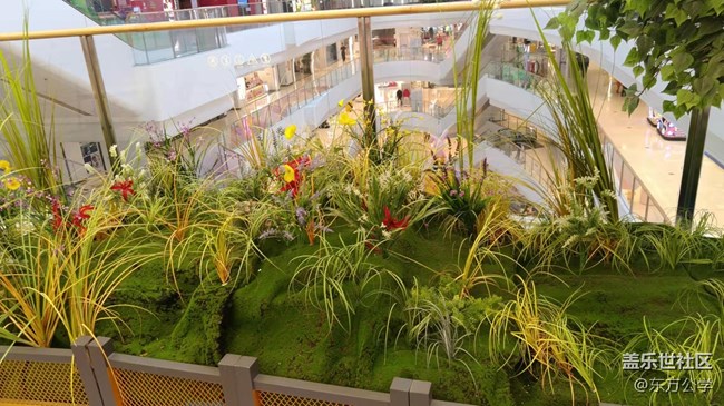 【采集青色时光】空中花园