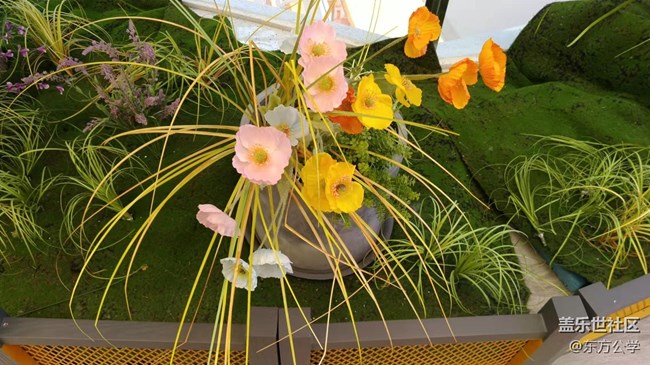 【采集青色时光】空中花园