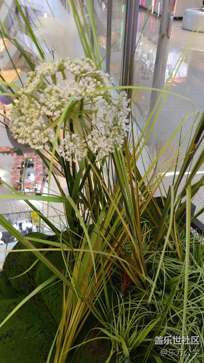 【采集青色时光】空中花园