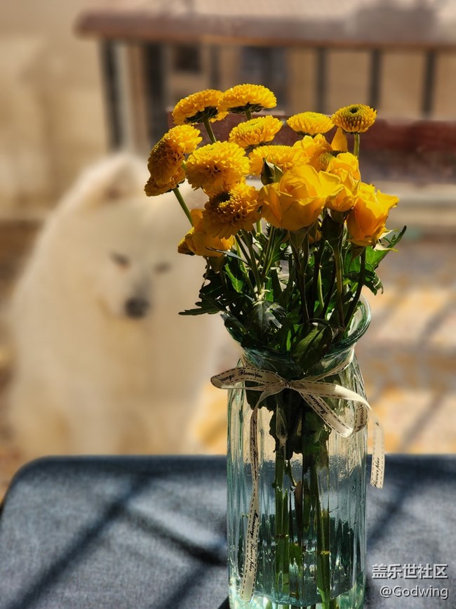 【光的艺术】+光和生活的瞬间