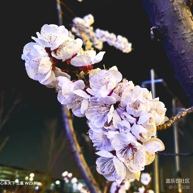 夜间拍照样张