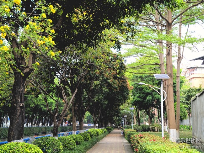 【初春之刻】植新绿 | 寓希望