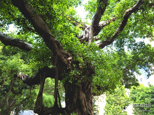 【初春之刻】植新绿 | 寓希望