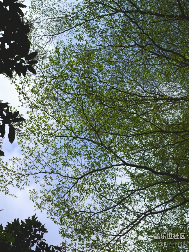 【初春之刻】植新绿 | 寓希望