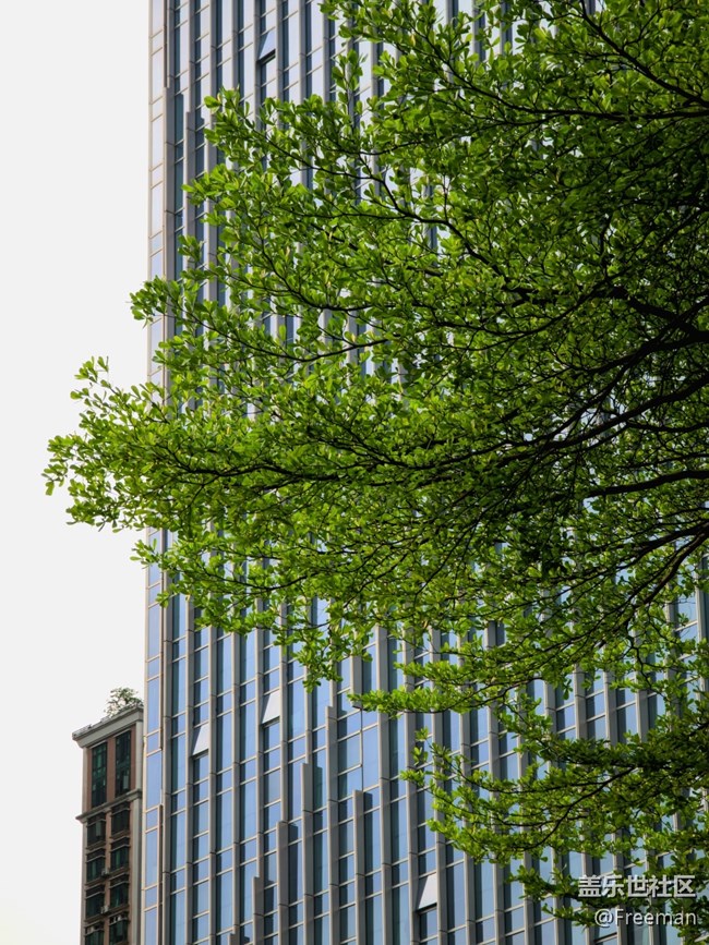 【初春之刻】植新绿 | 寓希望