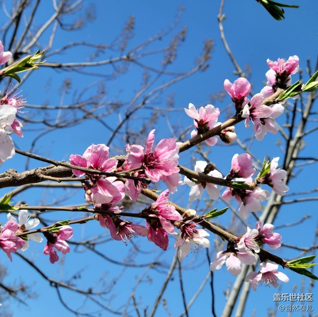 【万物复苏】春日入怀